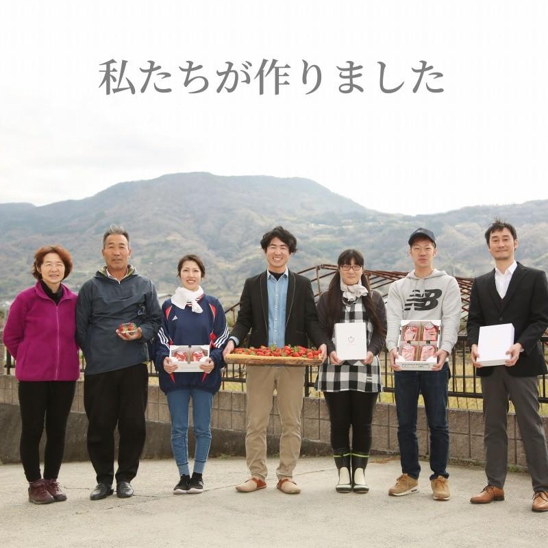 【産地から直送】まりひめ ギフト用 400g×1箱 和歌山県産 いちご 紀のベリー |  | 09