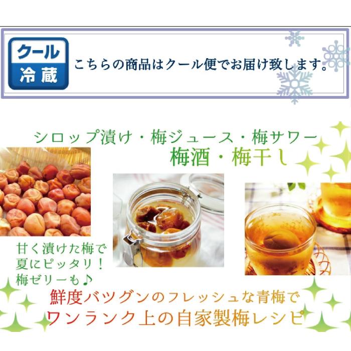 南高梅 青梅【 秀品 3Lサイズ 10kg 】本場紀州産 クール便 送料無料