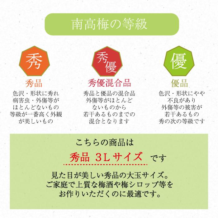 南高梅 青梅【 秀品 3Lサイズ 3kg 】本場紀州産 クール便 送料無料