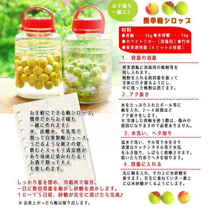 南高梅 青梅【 秀品 3Lサイズ 5kg 】本場紀州産 クール便 送料無料