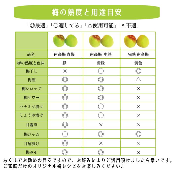 南高梅 青梅【 秀品 3Lサイズ 5kg 】本場紀州産 クール便 送料無料