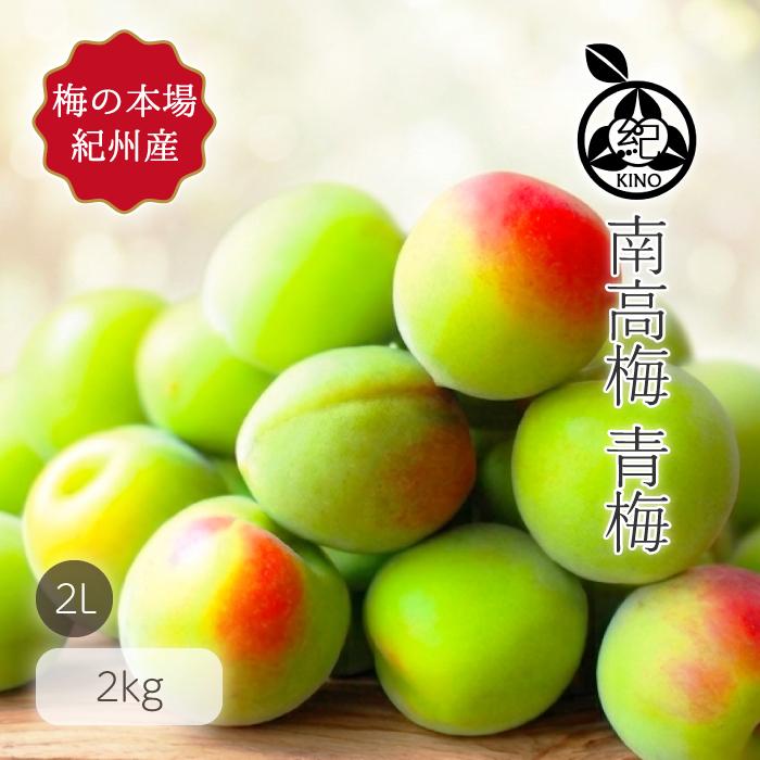 南高梅 青梅 本場紀州産 クール便 送料無料【 2L サイズ 2kg 】紀州南