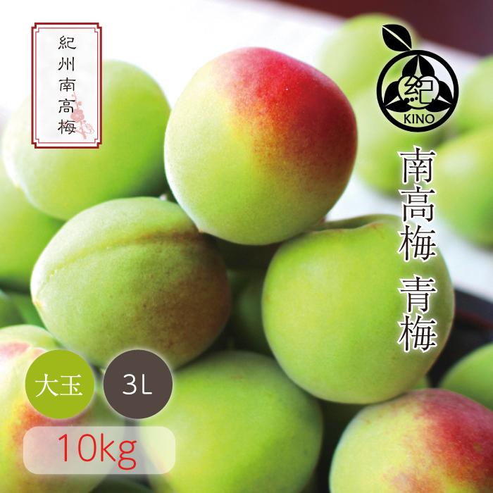 南高梅 青梅【 秀優品 3Lサイズ 10kg 】本場紀州産 クール便 送料無料