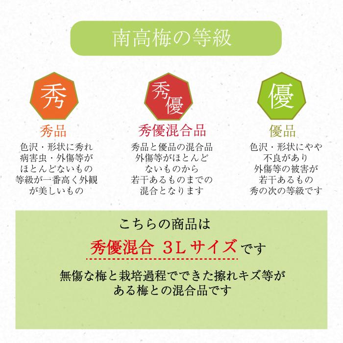 南高梅 青梅【 秀優品 3Lサイズ 2kg 】本場紀州産 クール便 送料無料