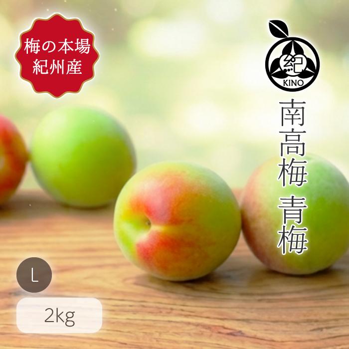 南高梅 青梅 本場紀州産 クール便 送料無料【 L サイズ 2kg 】紀州南高
