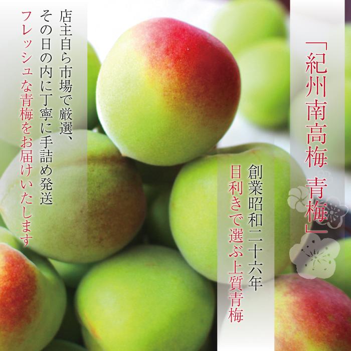 南高梅 青梅 本場紀州産 クール便 送料無料 【訳あり 2kg