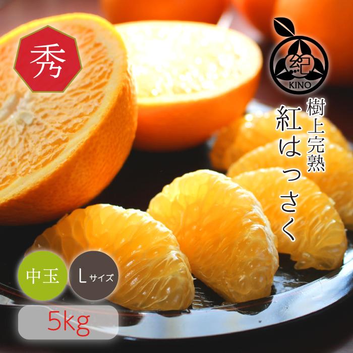紅八朔【 秀品 L サイズ(中玉）5kg 】送料無料 完熟 樹上熟成 八朔