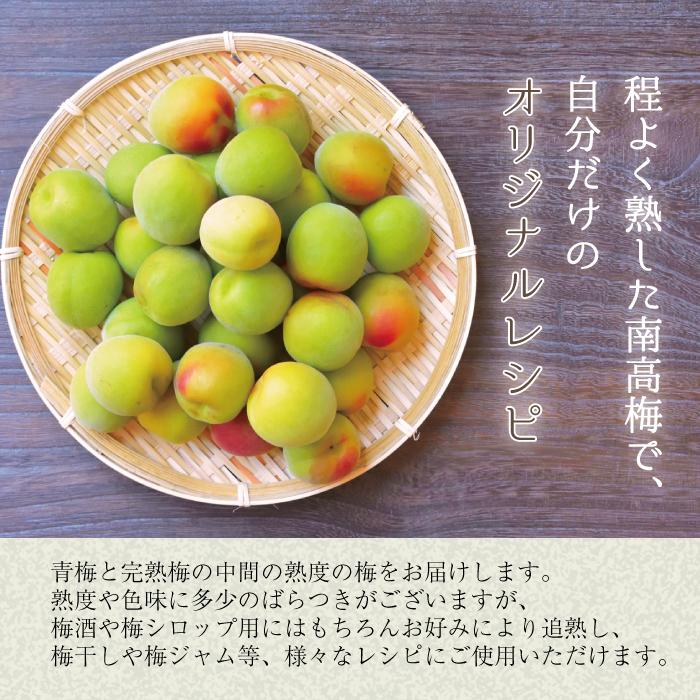 本場紀州産 木熟南高梅 4L 5kg ほんのり熟した香り高い南高梅 梅干し用