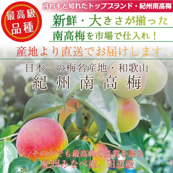 完熟 南高梅【 秀優品 2Lサイズ 3kg 】梅干し用 クール便 送料無料 