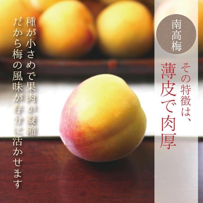 和歌山完熟紅南高梅クール便5kg