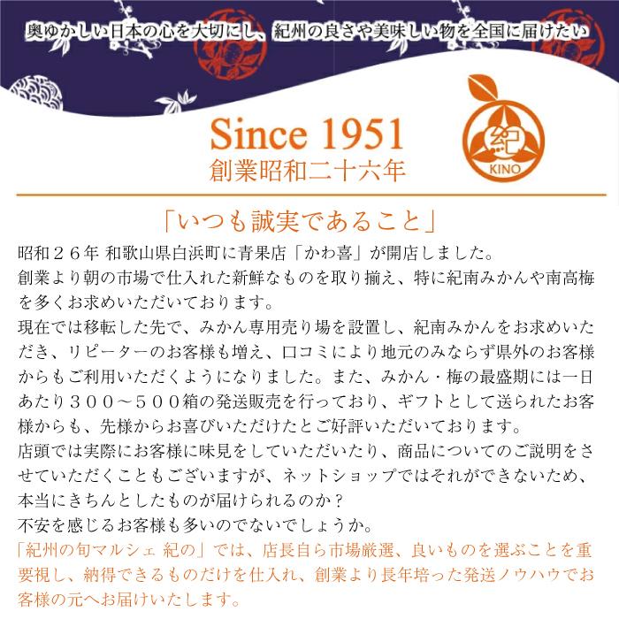 完熟 南高梅【 秀優品 2Lサイズ 5kg 】梅干し用 クール便 送料無料 本場紀州産 和歌山 みなべ 田辺 生梅 梅 中玉 中粒 紀州の旬マルシェ 紀の｜kino-kishu｜09