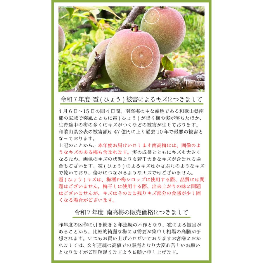 南高梅 完熟 本場紀州産 クール便 送料無料 【 3L サイズ 3kg