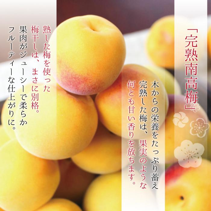 紀州南部の南高梅（完全自然栽培）3キロLサイズ良品 Amazon | 【梅干し用】2025年産 訳あり 紀州南高梅の完熟梅 南高
