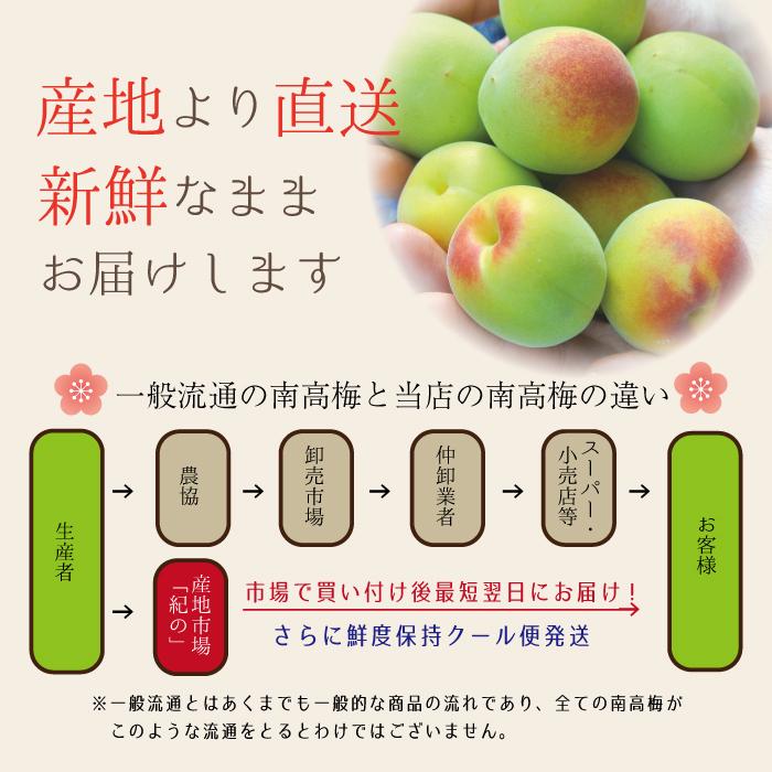 注目の福袋！ 和歌山県 みなべ産 南高梅 完熟梅 梅干し ５ｋｇ 4L