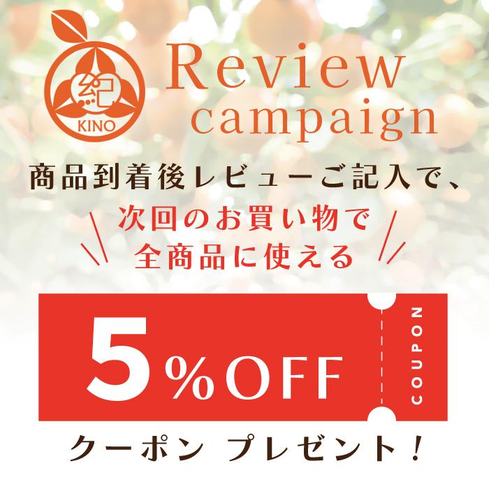 木成り八朔 【秀品Lサイズ5kg】 送料無料 樹上熟成で糖度をのせた一味違う八朔 八朔 はっさく ハッサク 糖度 贈答 ギフト フルーツ 和歌山 紀南 紀の｜kino-kishu｜15