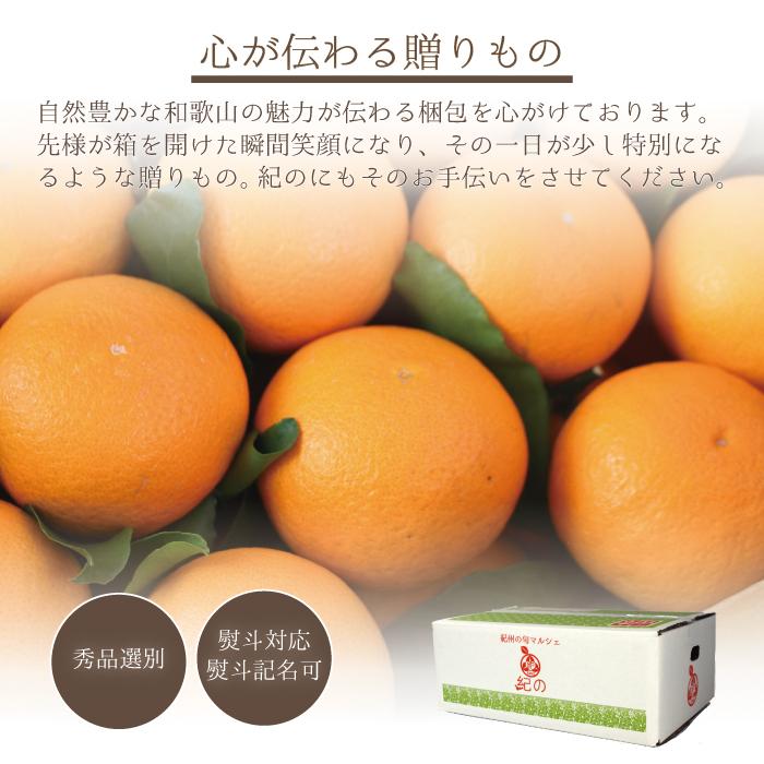 木熟清見オレンジ 【秀品 3Lサイズ 10kg】 送料無料 葉付でお 木熟清見オレンジ 【秀品 3Lサイズ 10kg】 送料無料 葉付でお