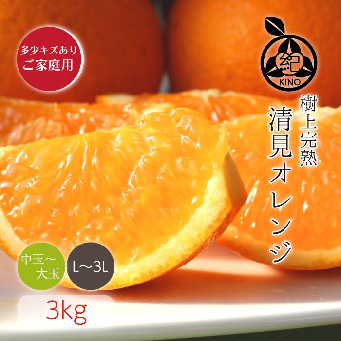 木熟 清見 オレンジ【 L/2L/3L サイズ 3kg 】ご家庭用 送料無料 葉付で