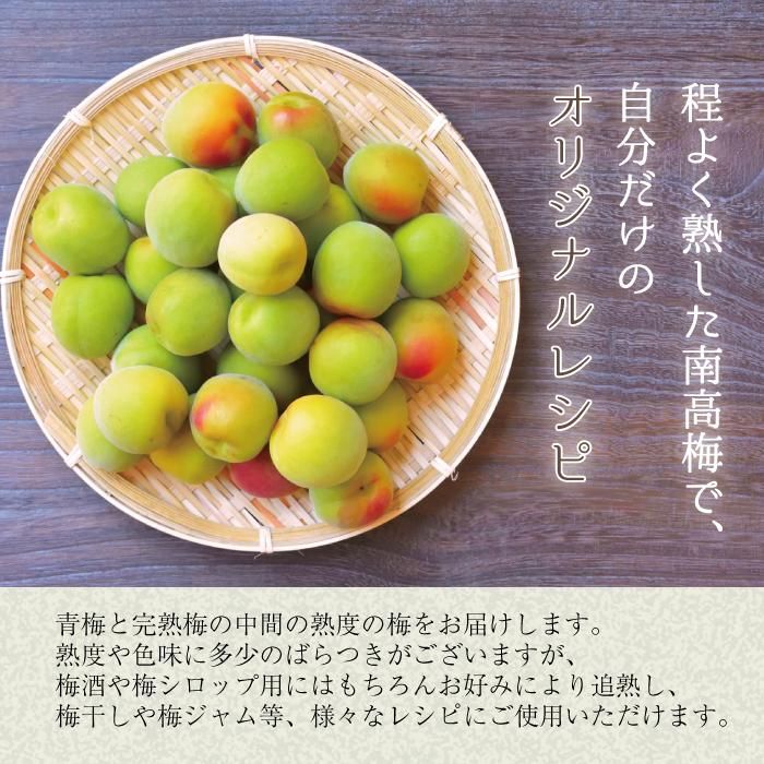 本場紀州産 木熟南高梅 2L 3kg ほんのり熟した香り高い南高梅 梅干し用
