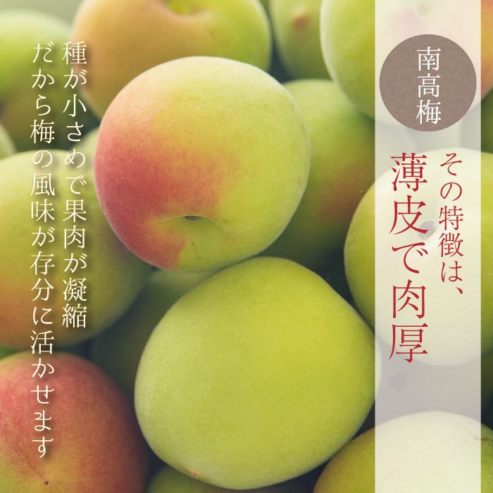本場紀州産 木熟南高梅 2L 5kg ほんのり熟した香り高い南高梅 梅干し用