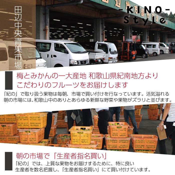 本場紀州産 木熟南高梅 3L 10kg ほんのり熟した香り高い南高梅 梅干し