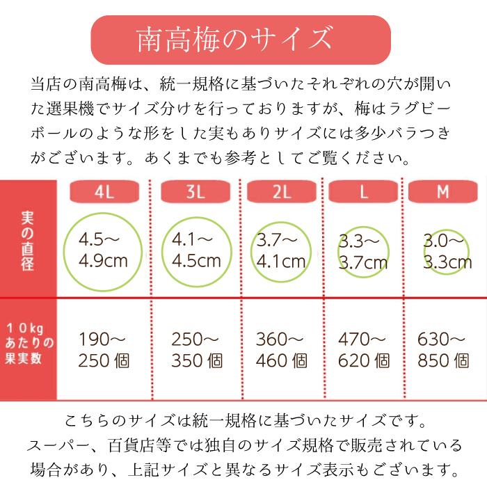 南高梅 中熟 本場紀州産 クール便 送料無料 【 3L サイズ 3kg 南高梅 中熟 本場紀州産 クール便 送料無料 【 3L サイズ 3kg
