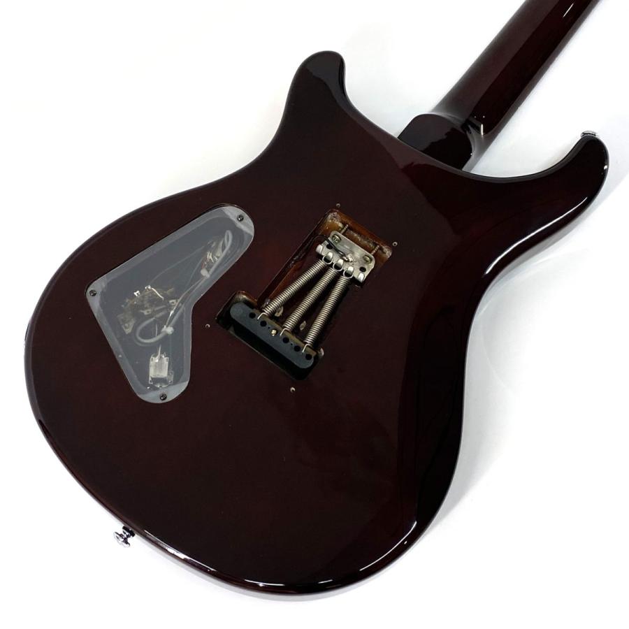 Paul Reed Smith（ポールリードスミス） (PRS) SE Custom 24 サン