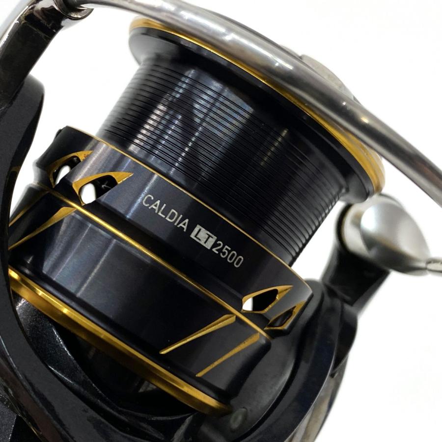 DAIWA ダイワ 21 CALDIA カルディア LT 2500 00060285 スピニング