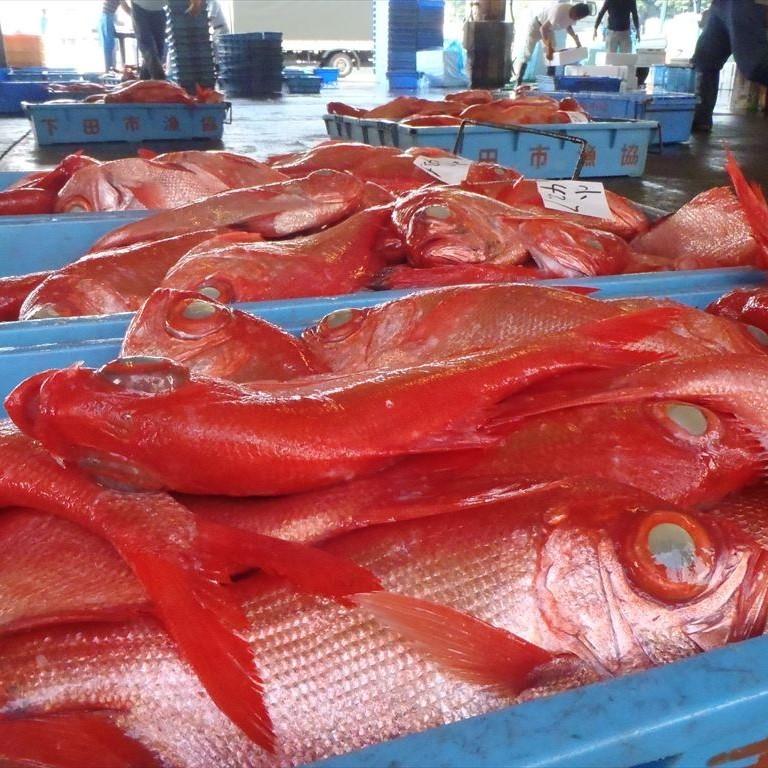 ｆｂグループ コロナ支援 訳あり商品情報グループ 価格 訳あり 金目鯛干物２枚入 02kinme 百パーセントやさいばみや 通販 Yahoo ショッピング