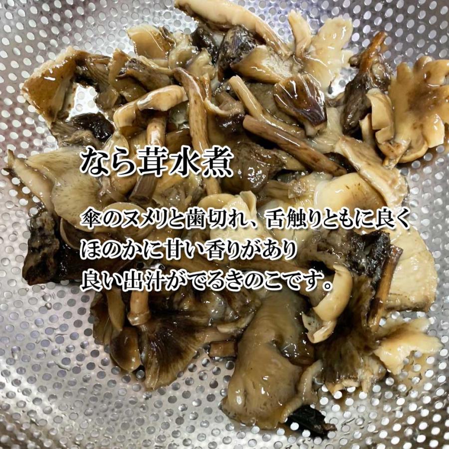 きのこ水煮 ナラタケとタケノコ２本 ならたけ 水煮 100g : きのこの杜Yahoo!ショップ - 通販 - Yahoo