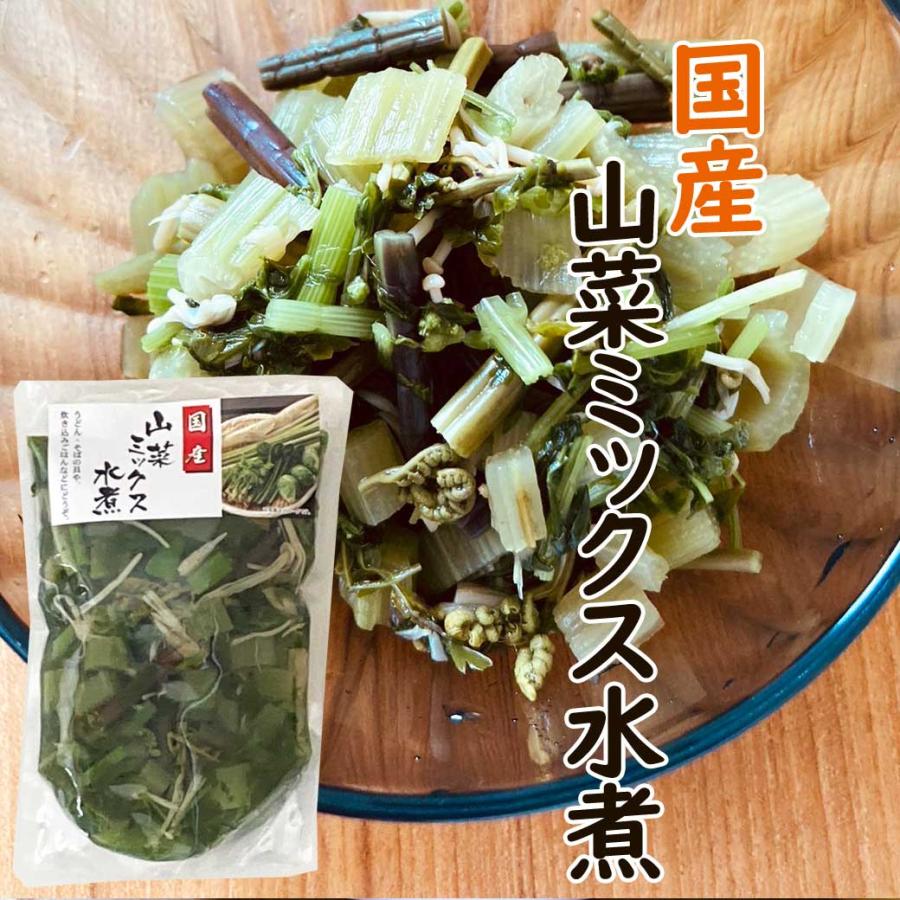 国産　山菜ミックス　水煮　100ｇ｜kinokonomori-net｜02