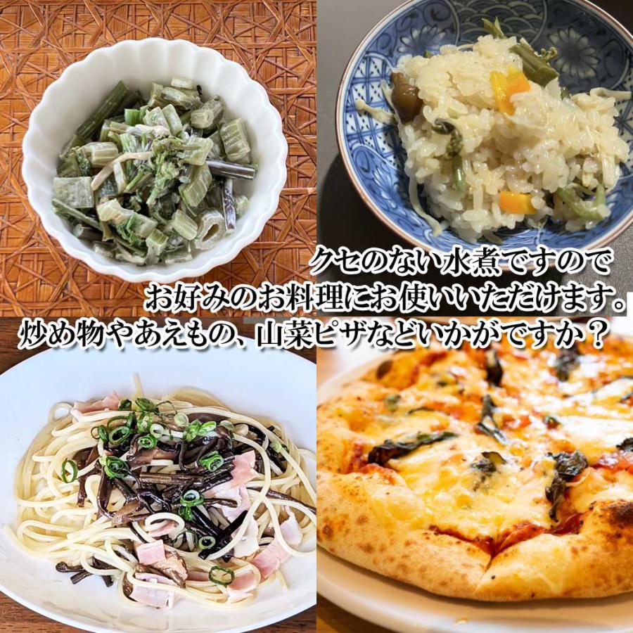 国産　山菜ミックス　水煮　100ｇ |  | 03
