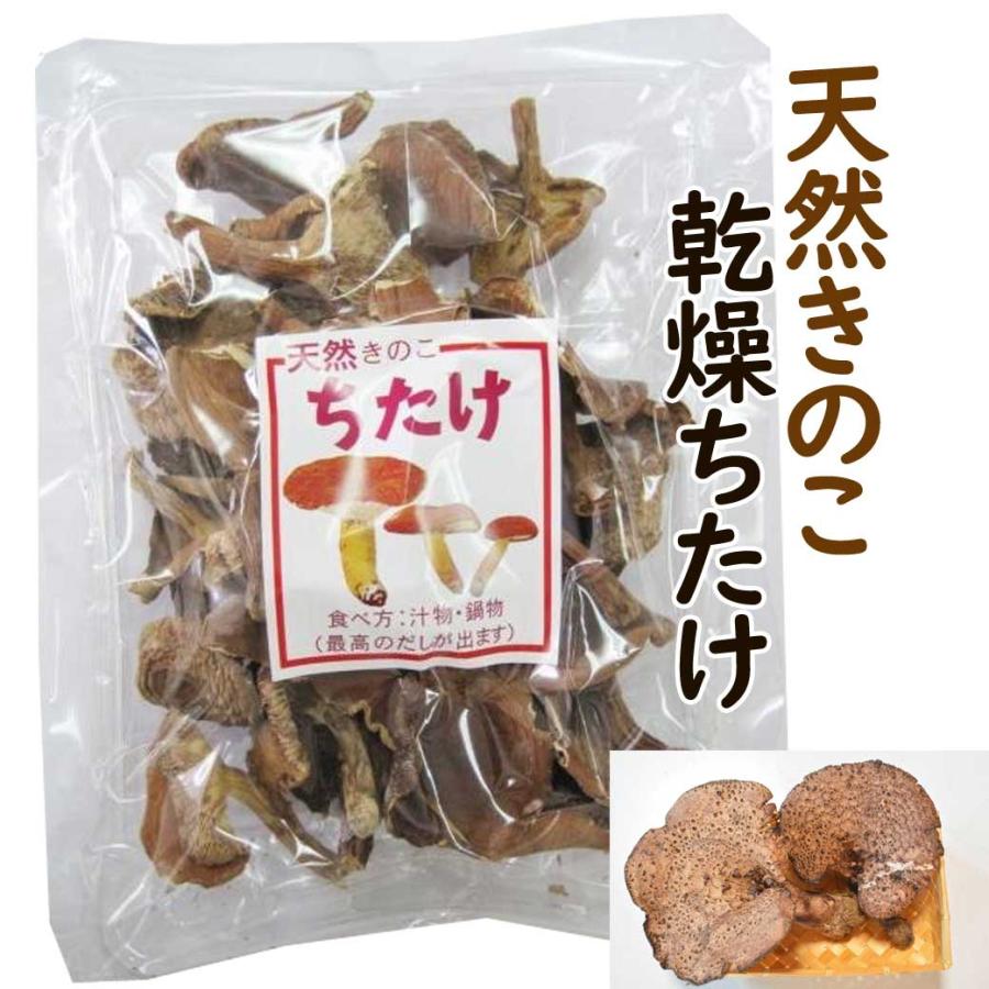 乾燥 ちたけ 70g : きのこの杜Yahoo!ショップ - 通販 - Yahoo