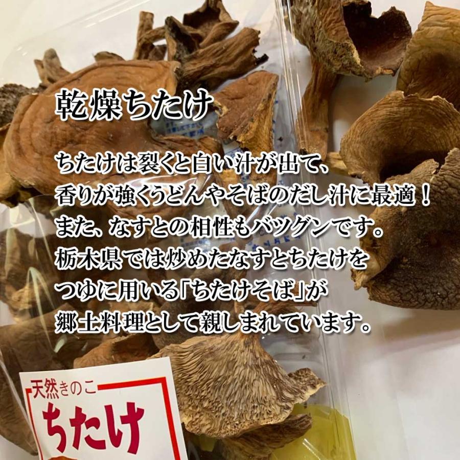 乾燥 ちたけ 70g : きのこの杜Yahoo!ショップ - 通販 - Yahoo 乾燥 ちたけ 70g : きのこの杜Yahoo!ショップ - 通販 - Yahoo