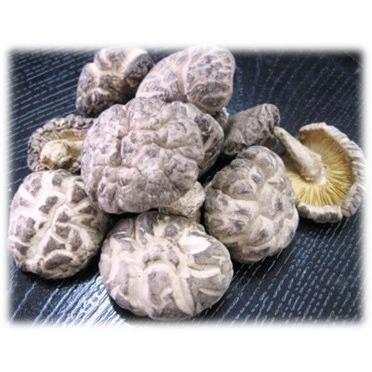 国産 どんこ 乾燥 椎茸 40g : きのこの杜Yahoo!ショップ - 通販