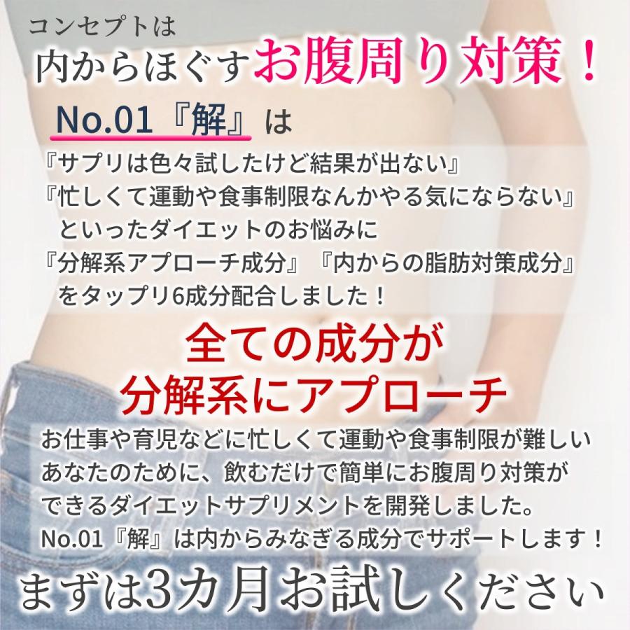 ダイエット サプリメント かんたん飲むだけ分解系 余分な脂は分解しよう お得に始めるお買い得2個セット No 01 やせたい方向け 解 ダイエットサプリ 祝日 2ヵ月分