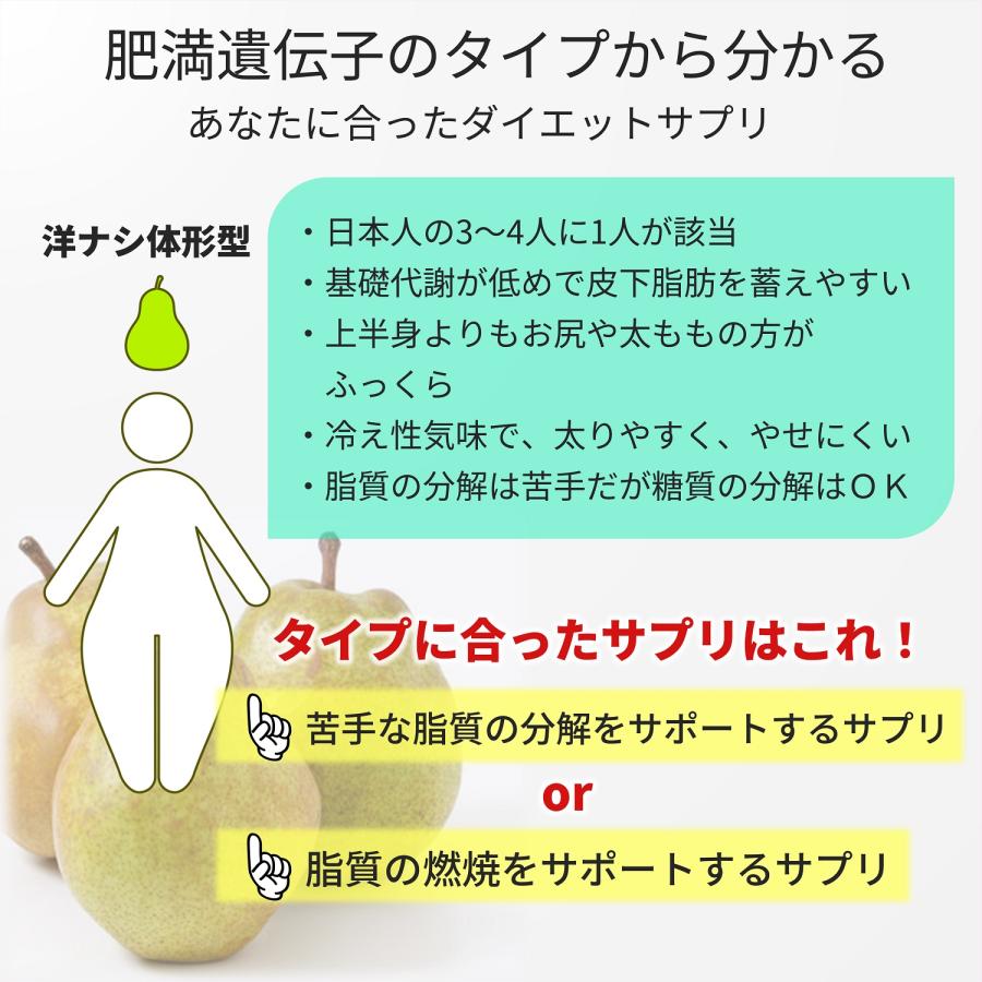 3個セットで2500円お得 お腹の脂肪 内臓脂肪 が気になる方に｜分解系