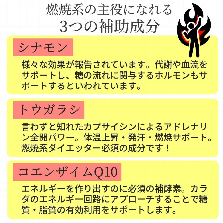 信頼 燃焼系 ダイエット サプリメント オルニチン ヒハツ ブラックジンジャー お得な３個セット 体質改善に必要な３ヵ月分 やせたい方向け 運動効率を高める No 02 燃 楽天1位 Orientalweavers Com