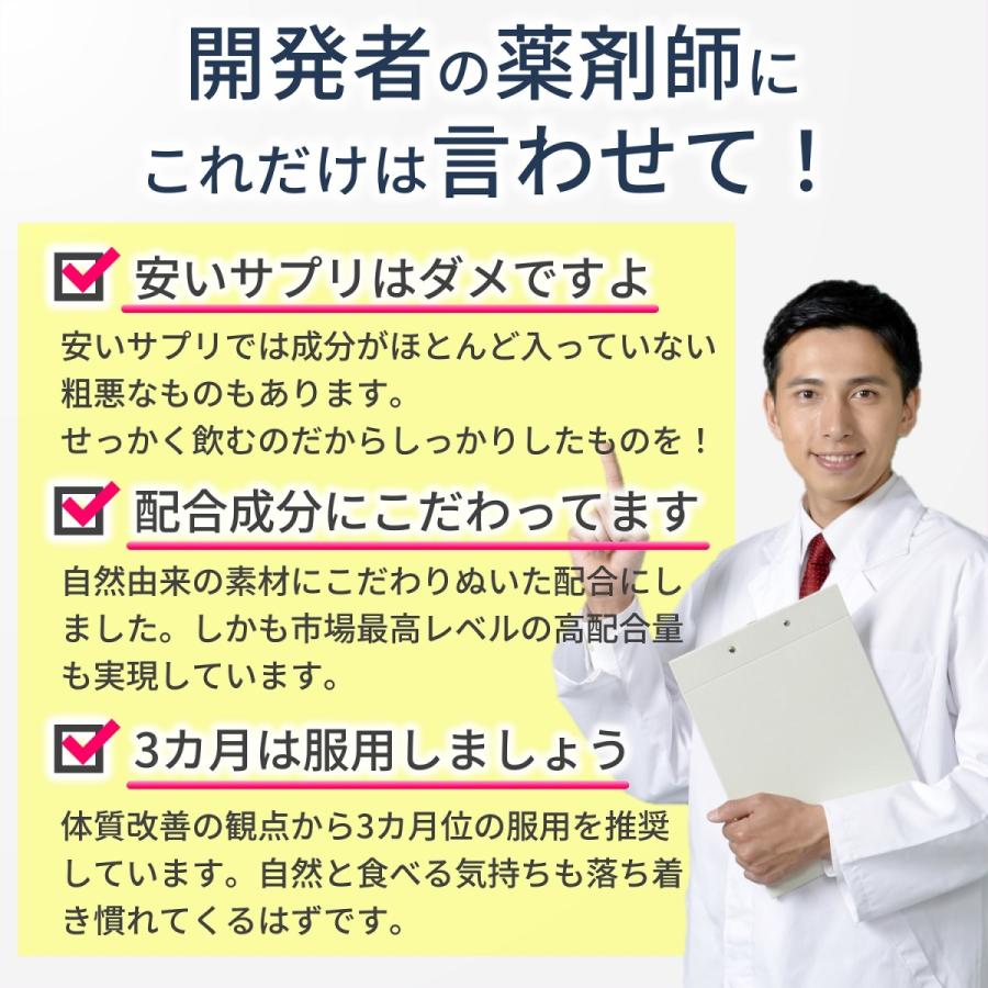 初回限定 燃焼系 ダイエット サプリメント オルニチン ヒハツ ブラックジンジャー お得な３個セット 体質改善に必要な３ヵ月分 やせたい方向け 運動効率を高める No 02 燃 魅了 Zoetalentsolutions Com