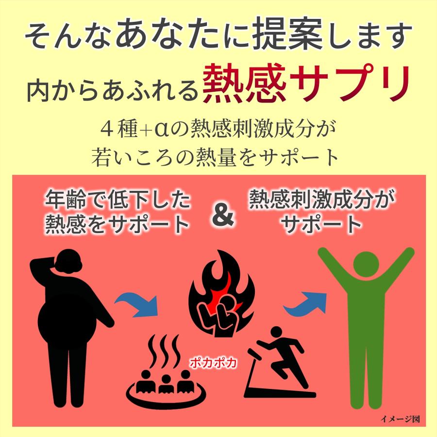 アラフォーからの 燃焼系 サプリ ダイエット サプリメント ヒハツ