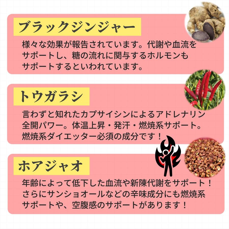 アラフォーからの 燃焼系 サプリ ダイエット サプリメント ヒハツ
