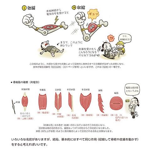 ソッカの美術解剖学ノート : 紀伊國屋書店Yahoo!店 - 通販 - Yahoo