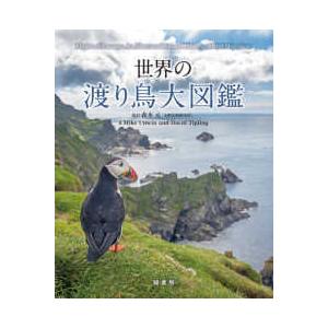 世界の渡り鳥大図鑑｜kinokuniya