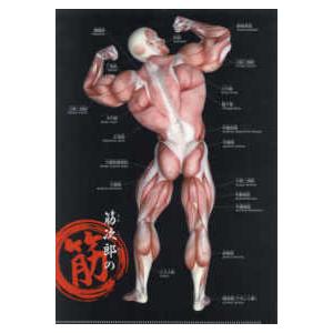 筋次郎の筋クリアファイル : 紀伊國屋書店Yahoo!店 - 通販 - Yahoo