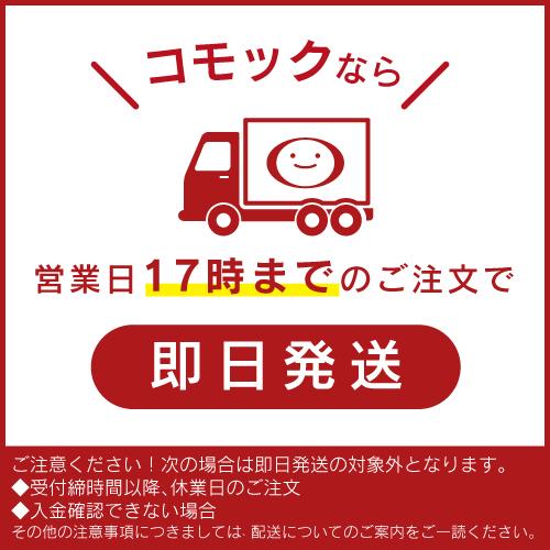 ＼おまけ付き／水遊び 正規品 BorneLund（ボーネルンド ）AquaPlay（アクアプレイ）社 ロックボックス AQ1516 お風呂 おもちゃ 遊び 外遊び 子供_8