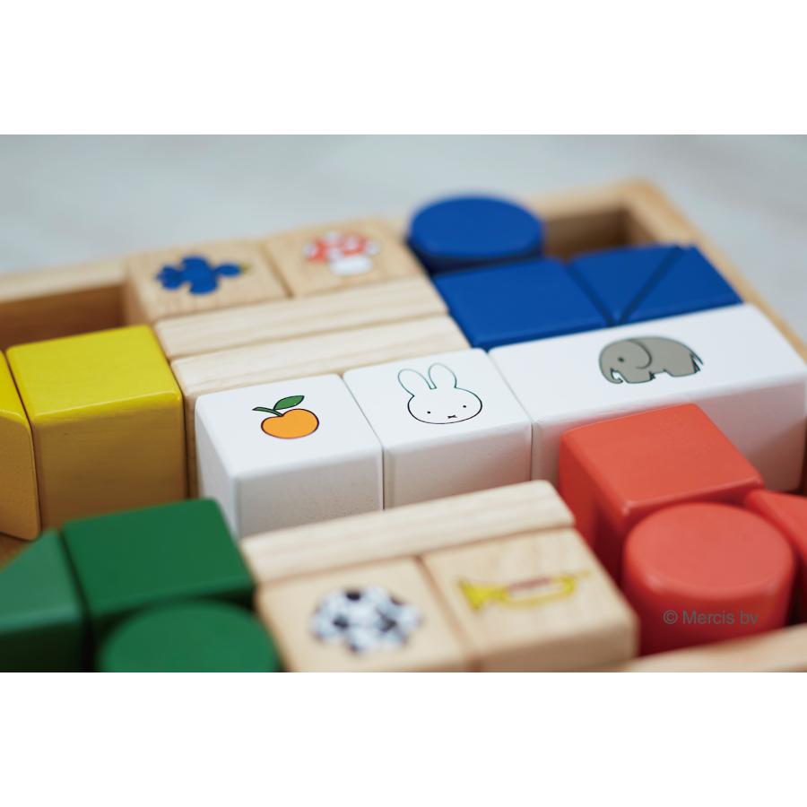 NICHIGAN（ニチガン） ＼おまけ付き／知育玩具 ディックブルーナ