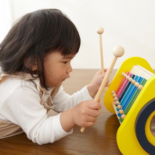 セール特別価格 知育玩具 エドインター 森の音楽会 指先の知育 3歳 おもちゃ 木のおもちゃ 楽器玩具 Materialworldblog Com