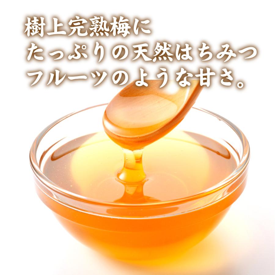 SALE/56%OFF】梅干し 家庭用はちみつ漬 1.8kg 紀の里食品 和歌山 産地直送 うめ 梅干 蜂蜜 南高梅 紀州産 梅干し 梅干し 家庭用紀州極上漬 1.8kg 紀の里食品 梅干 南高梅 うめ 産地直送 和歌山 紀州産