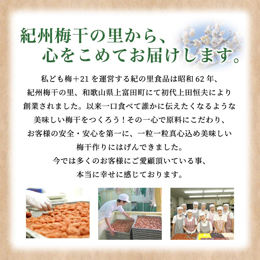 梅干し ご家庭用しそ漬梅 1.8kg 紀の里食品 梅干 南高梅 うめ すっぱい しそ 産地直送 和歌山 紀州産｜kinosato｜05