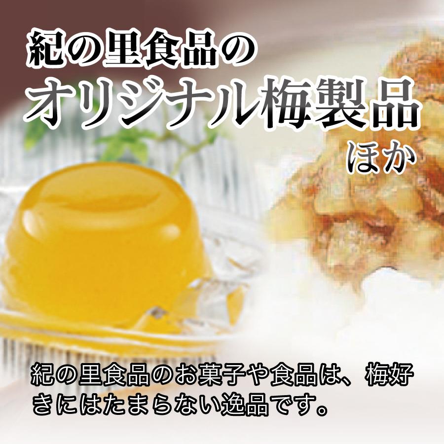 梅肉エキス 150g ビン入 紀の里食品 青汁の果汁 ムメフラーム 紀州特産