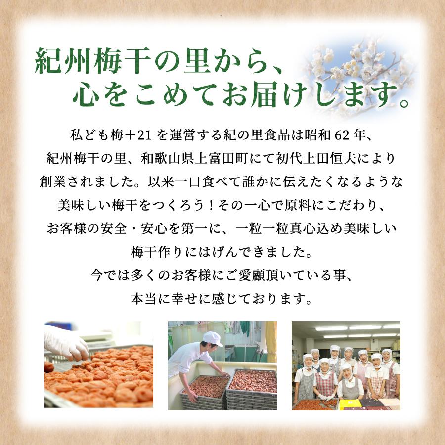 梅干し うす塩しそ漬梅 500g 紀の里食品 梅干 南高梅 うめ 富田川の天然水 ギフト 贈答 産地直送 和歌山 紀州産｜kinosato｜06